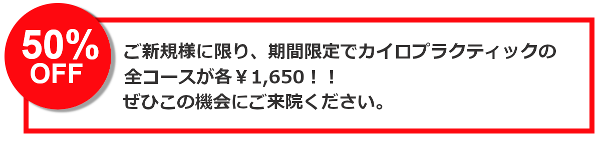 ご新規様期間限定５０％OFF